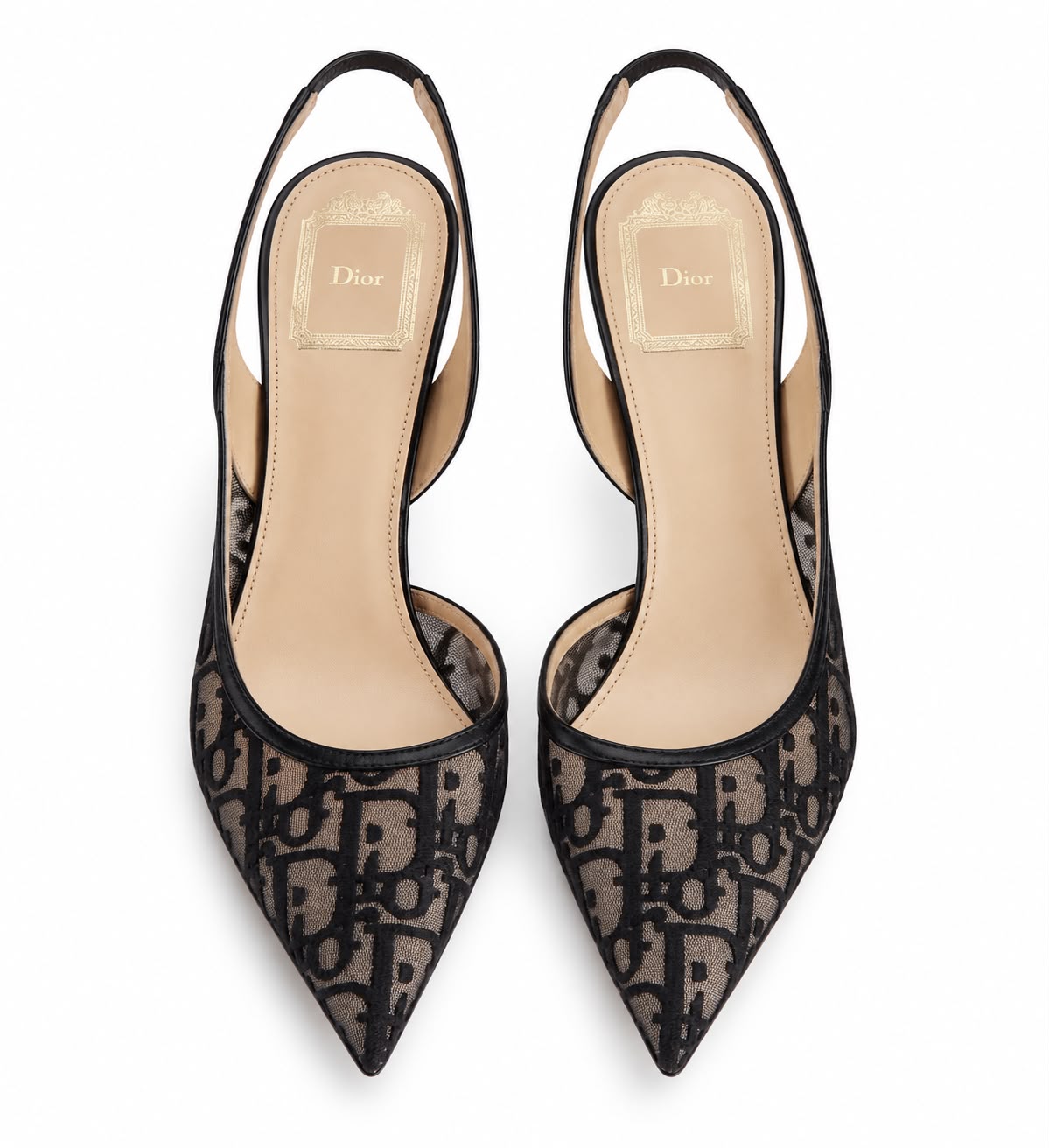 Dior Oblique Slingback Pumps