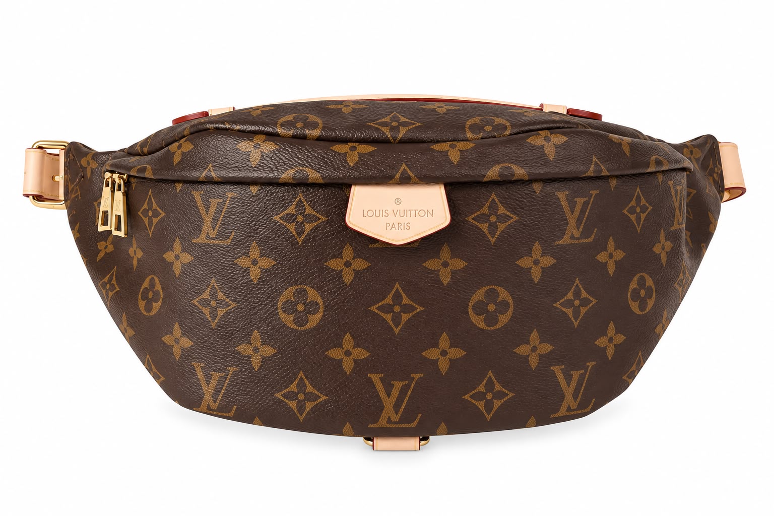 louis Vuitton Canvas Belt Bag